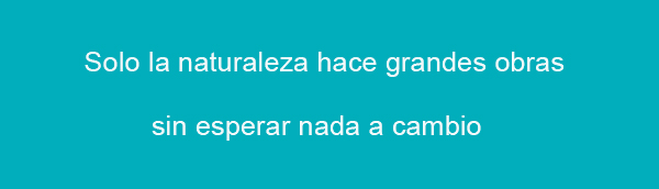 fitoterapia
